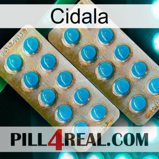 Cidala new08